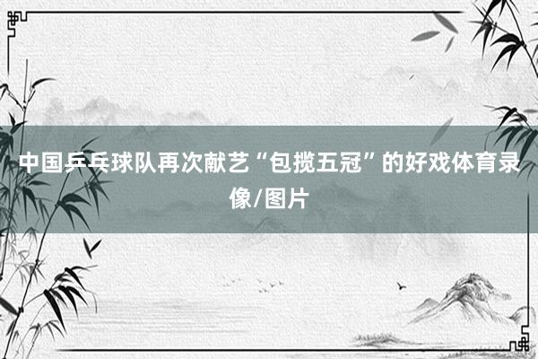中国乒乓球队再次献艺“包揽五冠”的好戏体育录像/图片