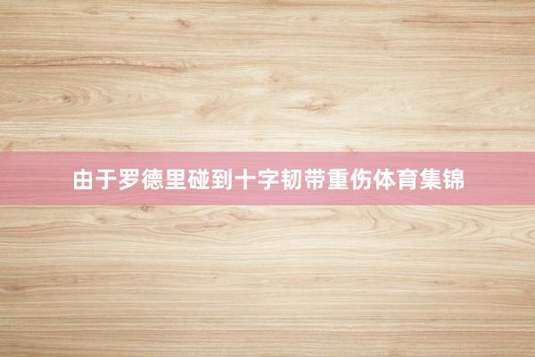 由于罗德里碰到十字韧带重伤体育集锦