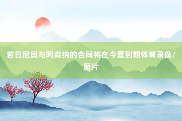 若日尼奥与阿森纳的合同将在今夏到期体育录像/图片