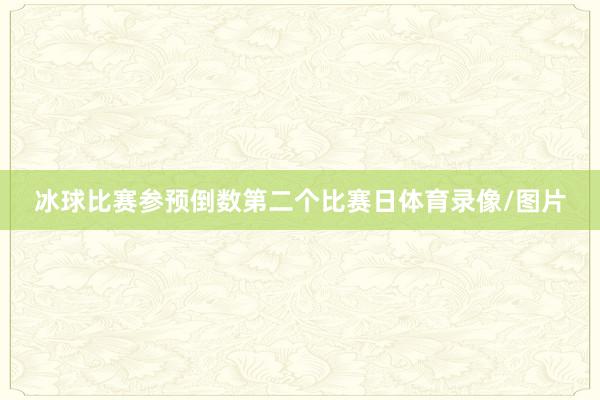 冰球比赛参预倒数第二个比赛日体育录像/图片