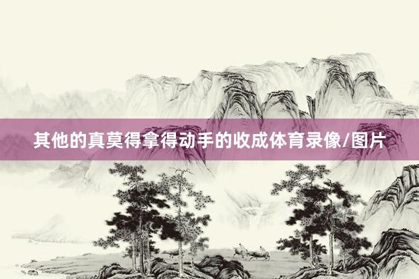 其他的真莫得拿得动手的收成体育录像/图片