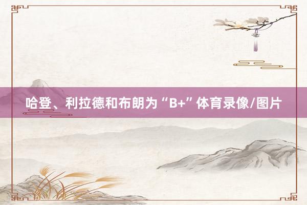 哈登、利拉德和布朗为“B+”体育录像/图片