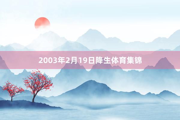 2003年2月19日降生体育集锦