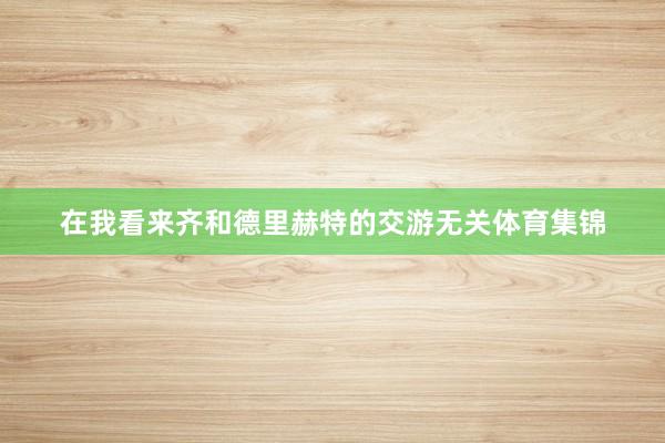 在我看来齐和德里赫特的交游无关体育集锦