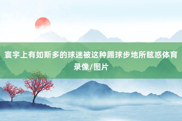 寰宇上有如斯多的球迷被这种踢球步地所眩惑体育录像/图片