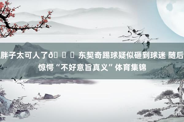 胖子太可人了😅东契奇踢球疑似砸到球迷 随后惊愕“不好意旨真义”体育集锦