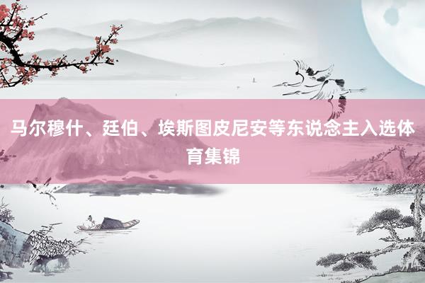 马尔穆什、廷伯、埃斯图皮尼安等东说念主入选体育集锦