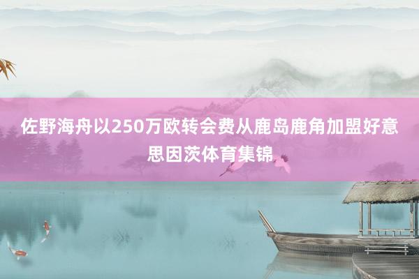 佐野海舟以250万欧转会费从鹿岛鹿角加盟好意思因茨体育集锦