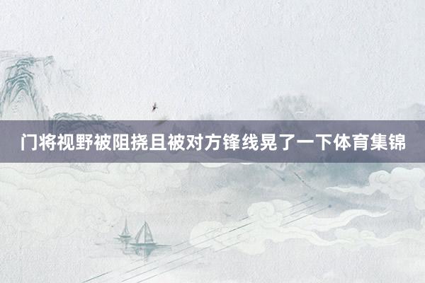 门将视野被阻挠且被对方锋线晃了一下体育集锦