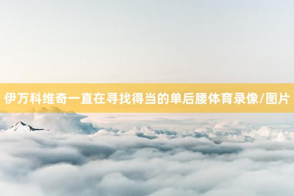 伊万科维奇一直在寻找得当的单后腰体育录像/图片