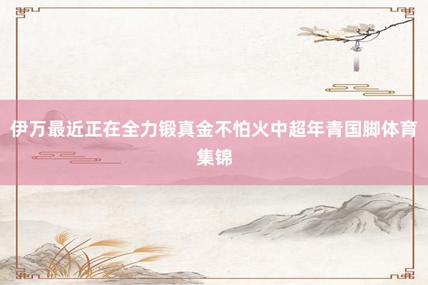 伊万最近正在全力锻真金不怕火中超年青国脚体育集锦