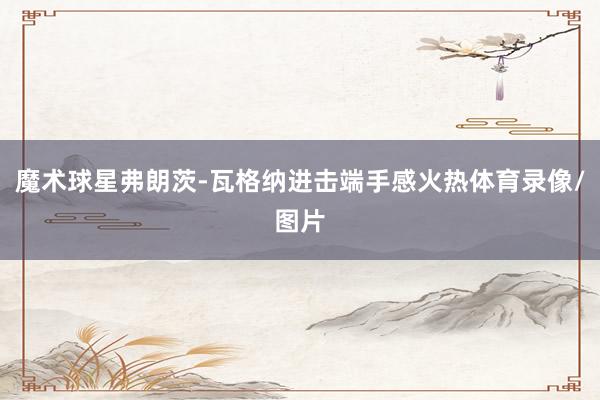 魔术球星弗朗茨-瓦格纳进击端手感火热体育录像/图片