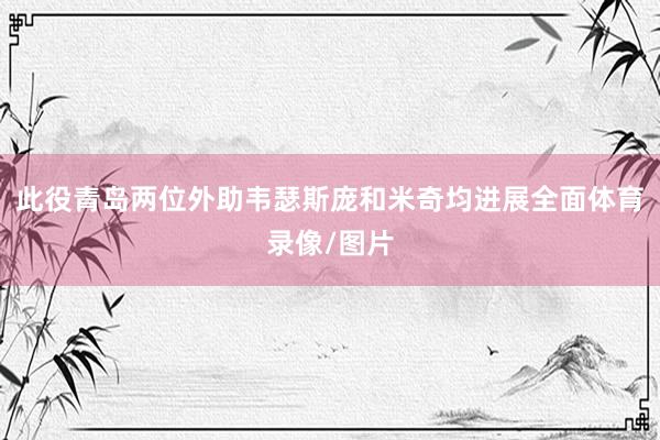 此役青岛两位外助韦瑟斯庞和米奇均进展全面体育录像/图片