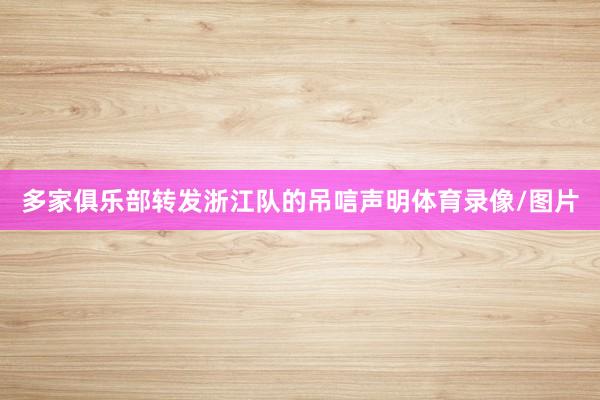 多家俱乐部转发浙江队的吊唁声明体育录像/图片