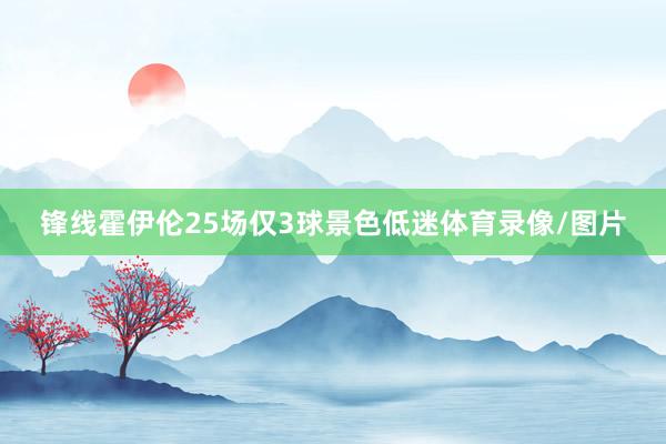 锋线霍伊伦25场仅3球景色低迷体育录像/图片