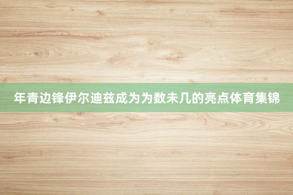 年青边锋伊尔迪兹成为为数未几的亮点体育集锦