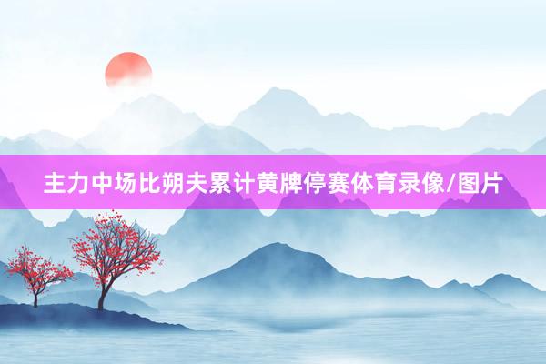 主力中场比朔夫累计黄牌停赛体育录像/图片