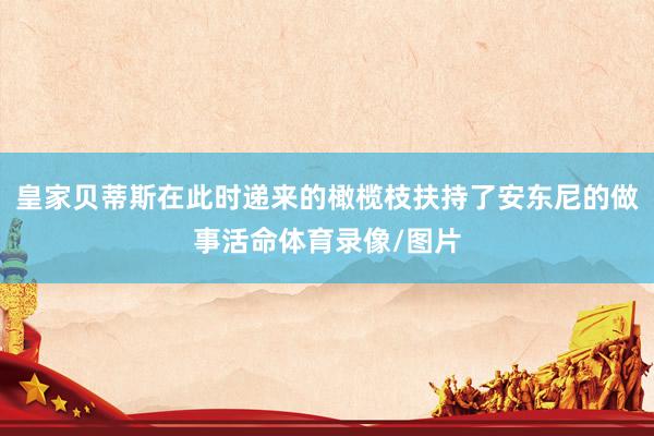 皇家贝蒂斯在此时递来的橄榄枝扶持了安东尼的做事活命体育录像/图片