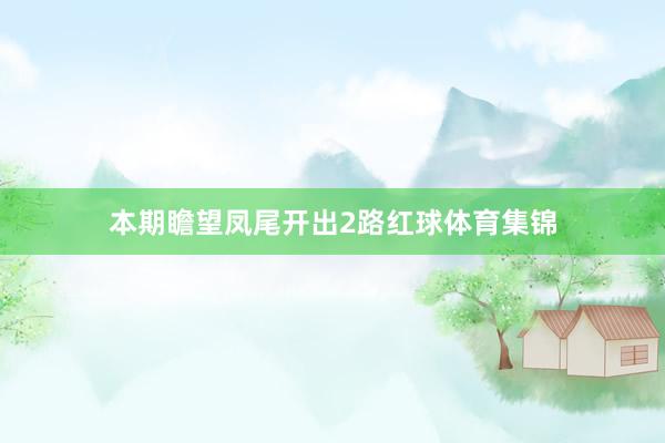 本期瞻望凤尾开出2路红球体育集锦