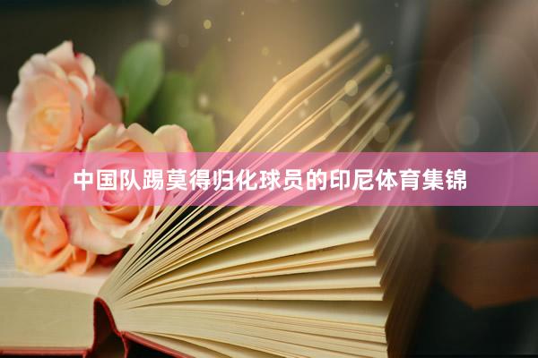 中国队踢莫得归化球员的印尼体育集锦