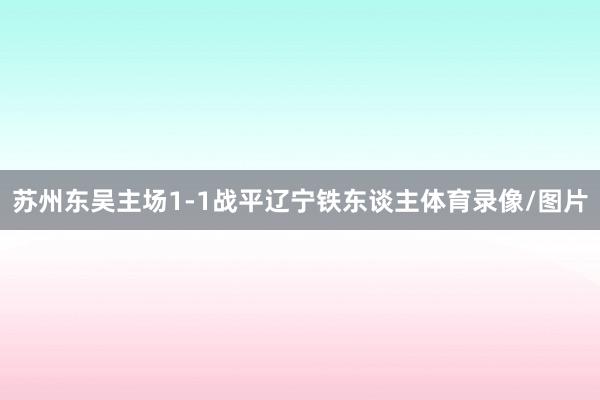 苏州东吴主场1-1战平辽宁铁东谈主体育录像/图片