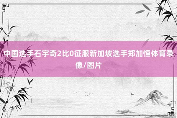 中国选手石宇奇2比0征服新加坡选手郑加恒体育录像/图片