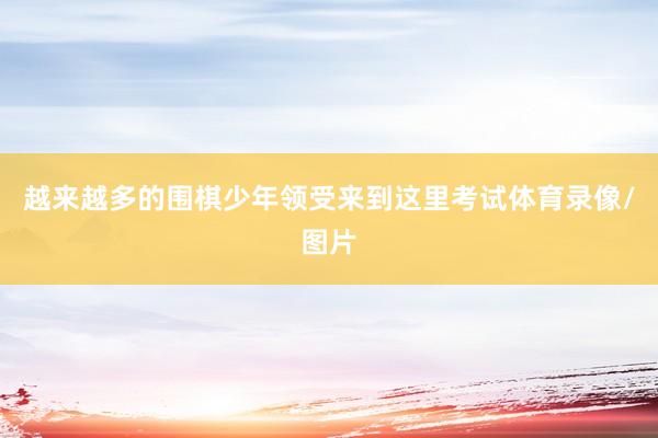 越来越多的围棋少年领受来到这里考试体育录像/图片