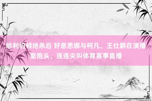 哈利伯顿绝杀后 好意思娜与柯凡、王仕鹏在演播室抱头、连连尖叫体育赛事直播