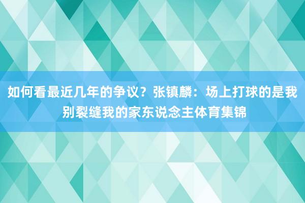 如何看最近几年的争议？张镇麟：场上打球的是我 别裂缝我的家东说念主体育集锦