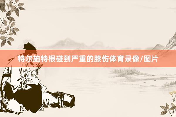 特尔施特根碰到严重的膝伤体育录像/图片