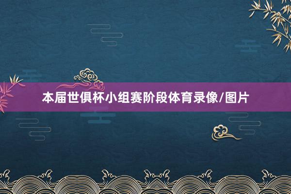 本届世俱杯小组赛阶段体育录像/图片