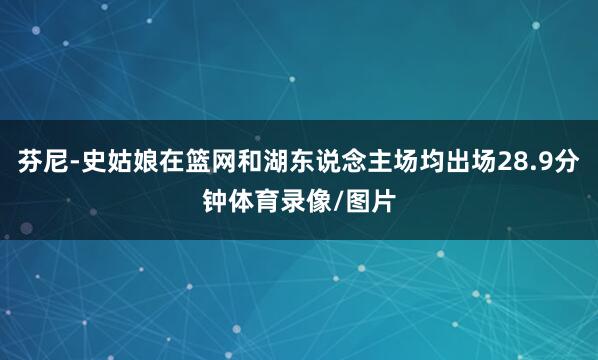 芬尼-史姑娘在篮网和湖东说念主场均出场28.9分钟体育录像/图片