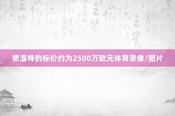 德温特的标价约为2500万欧元体育录像/图片