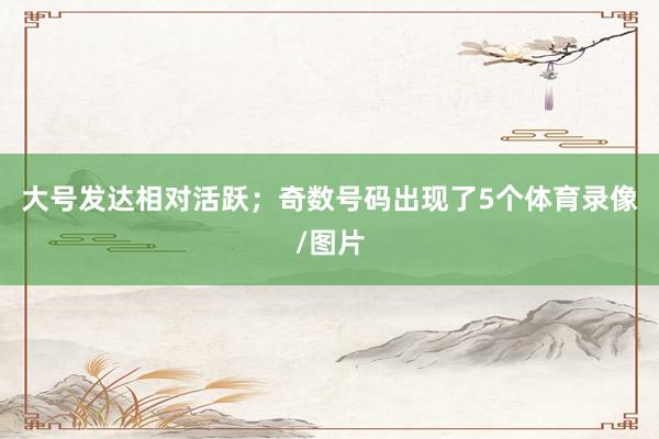 大号发达相对活跃；奇数号码出现了5个体育录像/图片