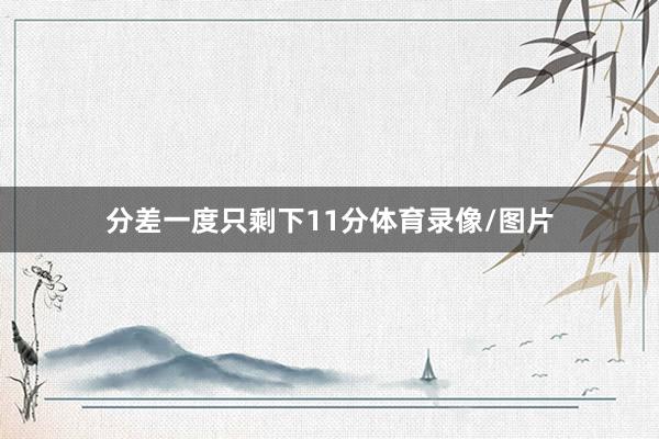 分差一度只剩下11分体育录像/图片