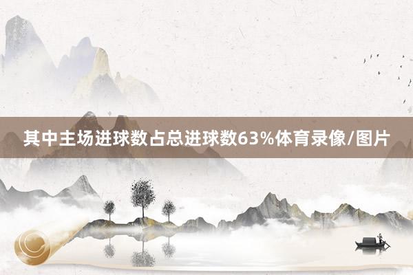 其中主场进球数占总进球数63%体育录像/图片