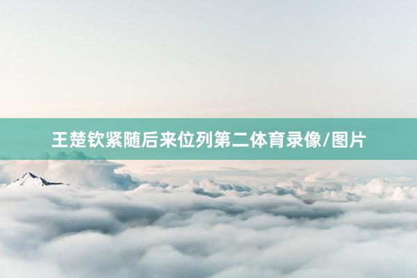 王楚钦紧随后来位列第二体育录像/图片