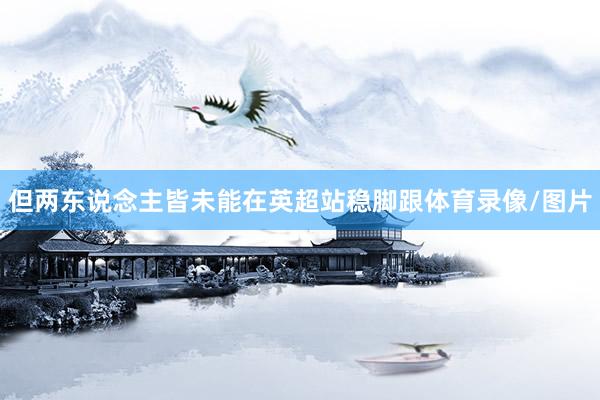 但两东说念主皆未能在英超站稳脚跟体育录像/图片