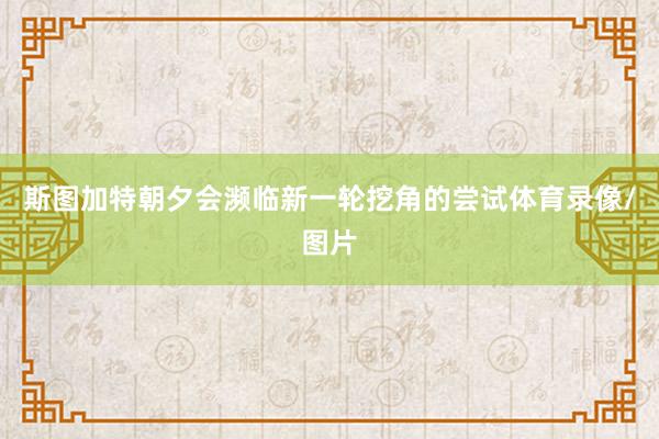 斯图加特朝夕会濒临新一轮挖角的尝试体育录像/图片