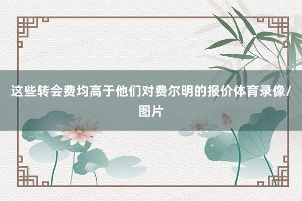 这些转会费均高于他们对费尔明的报价体育录像/图片
