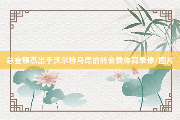 总金额杰出于沃尔特马德的转会费体育录像/图片