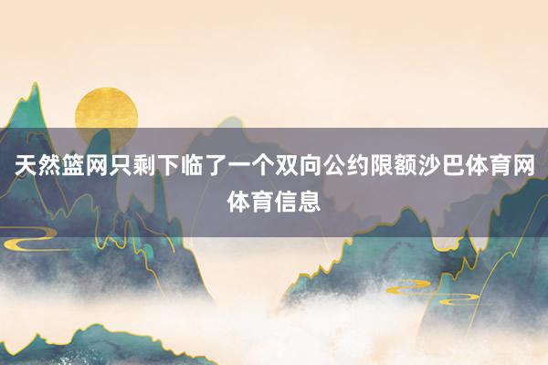 天然篮网只剩下临了一个双向公约限额沙巴体育网体育信息