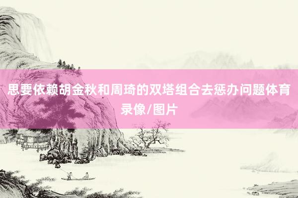 思要依赖胡金秋和周琦的双塔组合去惩办问题体育录像/图片
