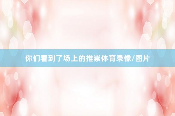 你们看到了场上的推崇体育录像/图片