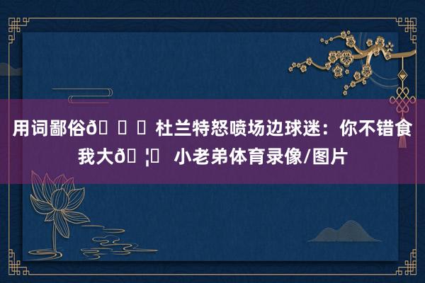 用词鄙俗😂杜兰特怒喷场边球迷：你不错食我大🦅 小老弟体育录像/图片