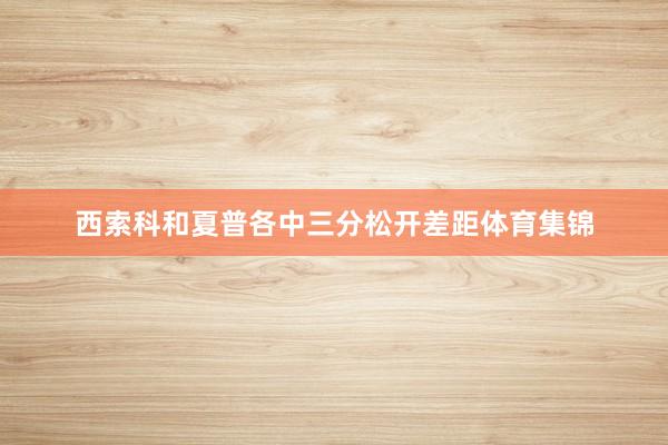 西索科和夏普各中三分松开差距体育集锦