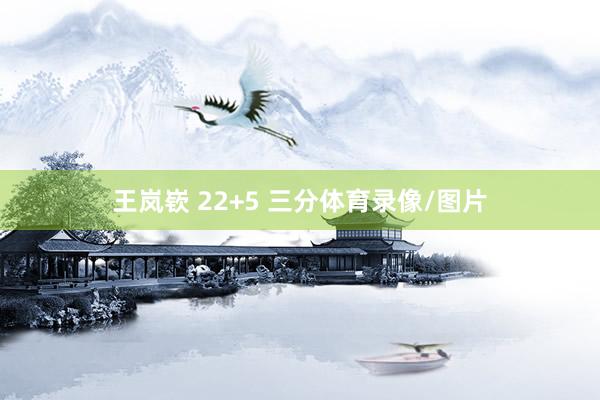 王岚嵚 22+5 三分体育录像/图片