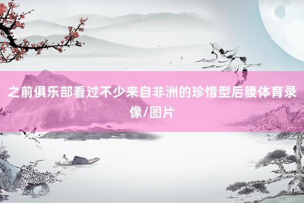 之前俱乐部看过不少来自非洲的珍惜型后腰体育录像/图片