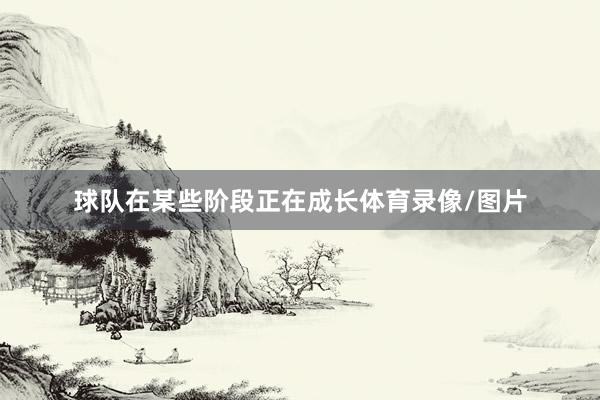 球队在某些阶段正在成长体育录像/图片