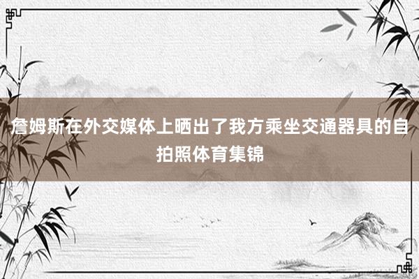 詹姆斯在外交媒体上晒出了我方乘坐交通器具的自拍照体育集锦